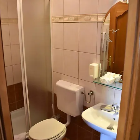 Hotel Grande Celje